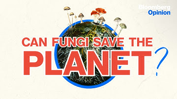 Can fungi solve the climate crisis and save the planet?