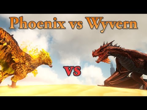 Phoenix Vs Wyvern Ark Survival Evolved Cantex Youtube Phoenix Vs Wyvern Ark Survival Evolved Cantex Youtube