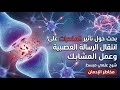 بحث حول تأثير المخدرات على إنتقال الرسالة العصبية وعمل المشابك السنة الأولى ثانوي 