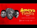 Whozu X Billnass X Mbosso -Ameyatimba Remix( MUSIC Audio )