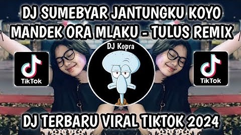 DJ TULUS NIKEN SALINDRY - SUMEBYAR JANTUNGKU KOYO MANDEK ORA MLAKU VIRAL TIKTOK 2024‼️
