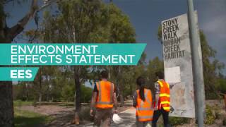 Navigating the Environment Effects Statement