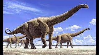 The Largest Land Animals of all Time