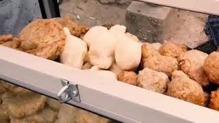 Ngambek limo ngaku duo