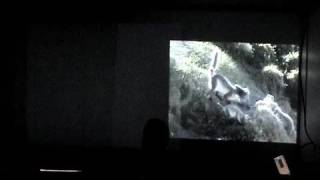 INPUT OUTPUT 01 / live