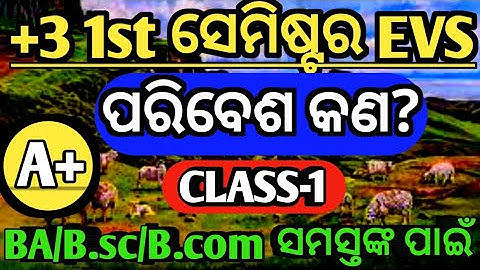 +3 1st Semester EVS Class-1|What is environment|+3 Environmental studies|+3 1st semester Ev