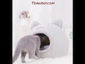 New deep sleep comfort in winter cat bed iittle mat basket small dog house products pets tent cozy