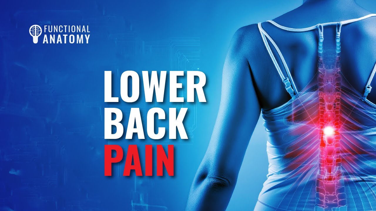 Answers to Lower Back Pain - YouTube