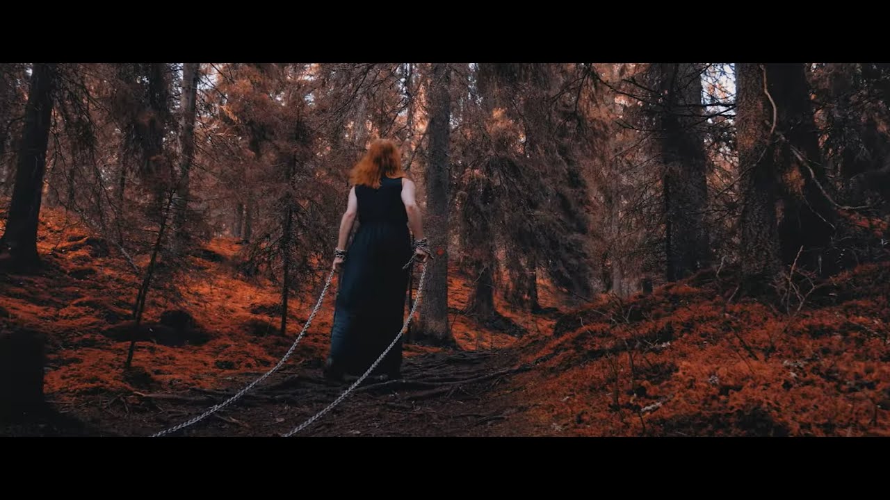 Where's My Bible released a second single and music video Chapter II: Void