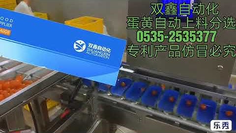 Egg yolk automatic weight sorting machine  food grading machine food grader weight sorting machine