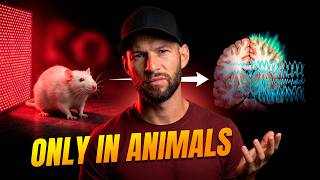 Red Light Therapy for Epilepsy: My Son’s Story + The Science