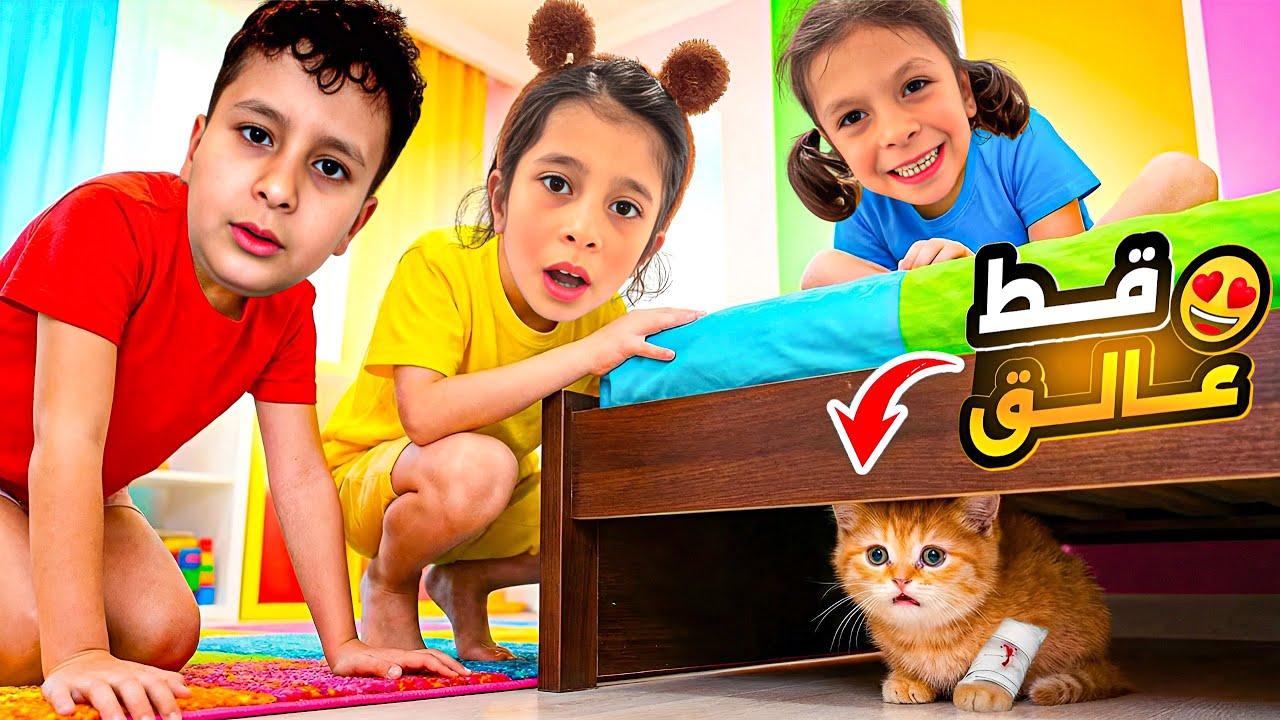 لقينا قطه🐈محبوسه داخل بيتنا🏠حاولنا ‏نساعدها ￼بكل الطرق بس للأسف ما غدرنا😩شوفوا آخر شي ايش صار بيها؟