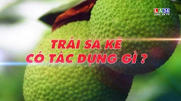 Trái Sa Kê có tác dụng gì?