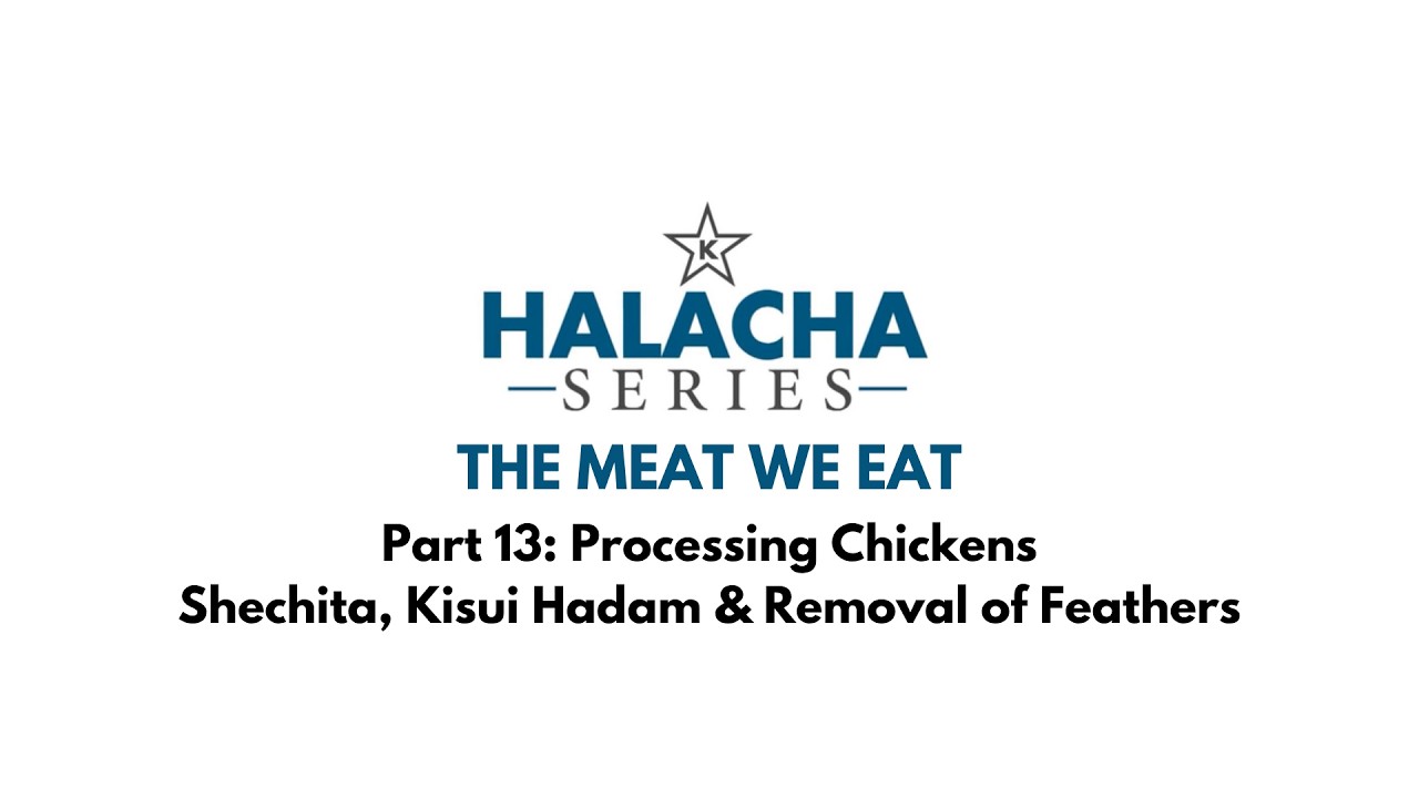 Part 13: Processing Chickens — Shechita, Kisui Hadam & Feathers