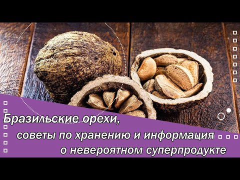 Бразильские орехи, советы по хранению и информация о невероятном суперпродукте