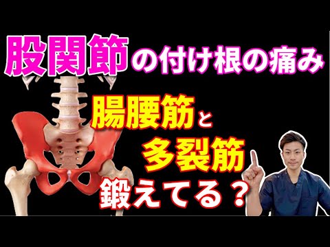 根本改善は足首から 膝痛、股関節痛、腰痛改善術DVD角田 紀臣 dantotsuMovie 施術家向け映像教材配信 - 角田PJ_根本改善は足首