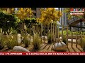 Elan Gurugram Mega Project Tour | Smart Investment in Gurgaon Real Estate #dwarkaexpressway #home
