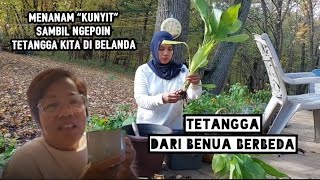 Bertetangga lintas benua, Kesibukan pagi IRT di Amerika utara tetangga di Belanda @WiwinvanHolland