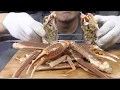 How to prepare   Snow Crab Sashimi ズワイガニ刺身 雪蟹生鱼片 대게회