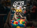 A monkey working in toys factory #entertaininganimals #monkey #toys #factory