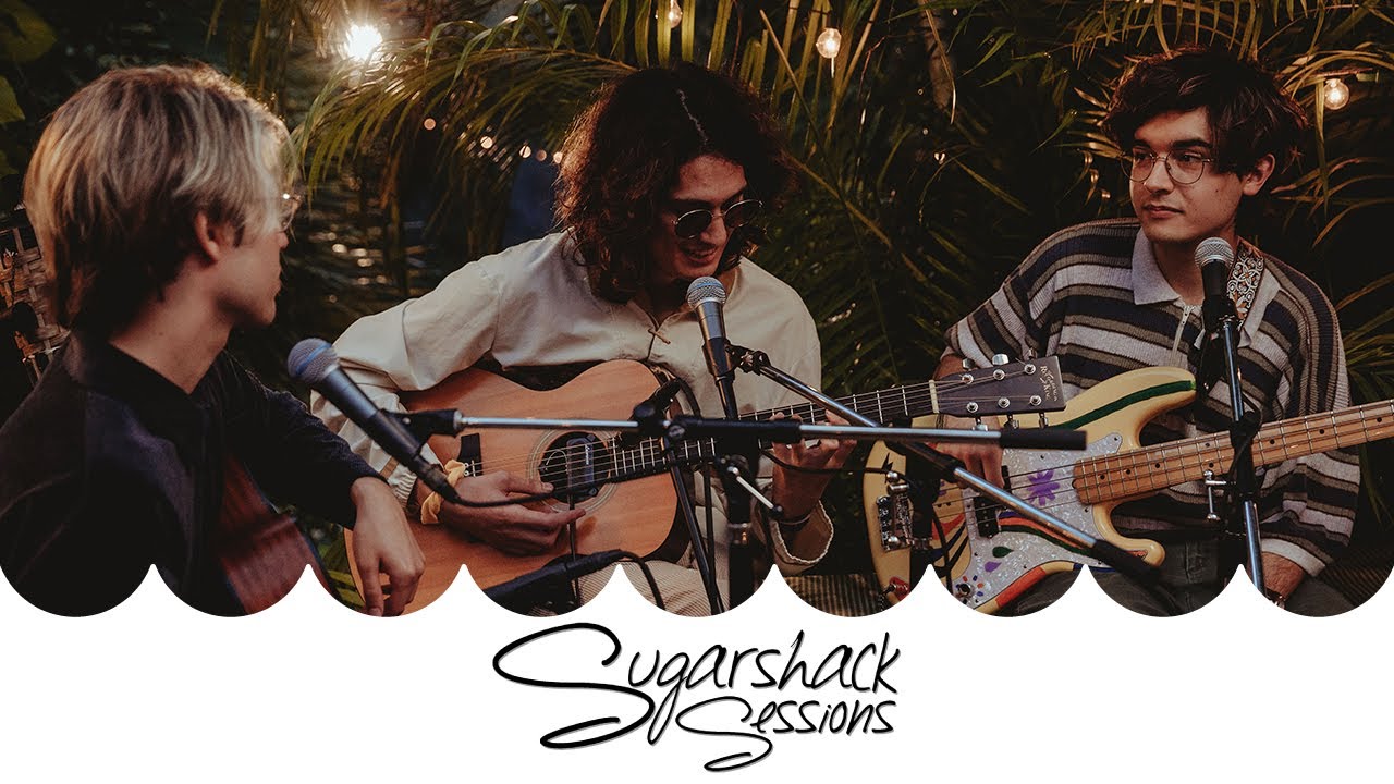 The Polar Boys - Black Dog (Live Acoustic) | Sugarshack Sessions - YouTube