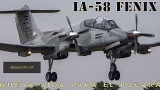 Ia-58 Fénix La Nueva Vida Del Pucará
