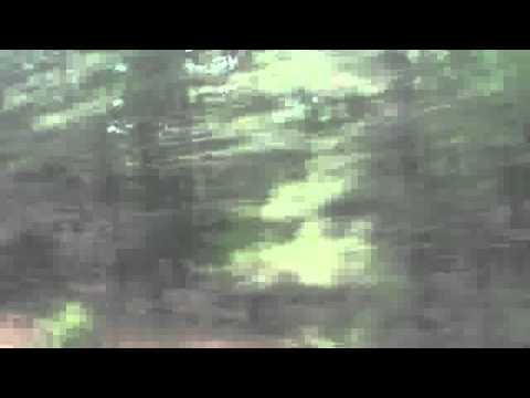 An Amtrak experience part 2. From Washington, DC to Raleigh, NC May 11, 2012