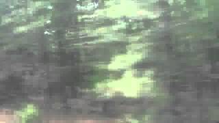 An Amtrak experience part 2. From Washington, DC to Raleigh, NC May 11, 2012