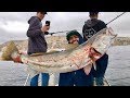 White Sea Bass & Wide Open Surface Bite!