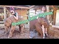 Baby elephants are like puppies! | Elephant Jungle Sanctuary, Chiang Mai, Thailand 2020