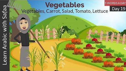 Day 19: 5 Arabic Words A Day | Learn Arabic with Safaa