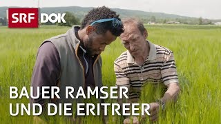 Bauer Ramser und die Eritreer | Flüchtlingsintegration in der Schweiz | Doku | SRF Dok