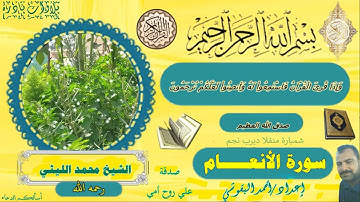 العملاق الشيخ محمد الليثي ورائعة الروائع  سورة الانعام  ديرب  نجم - شمبارة منقلا