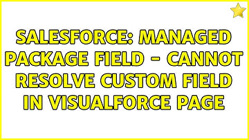 Salesforce: Managed Package Field - Cannot resolve custom field in VisualForce Page