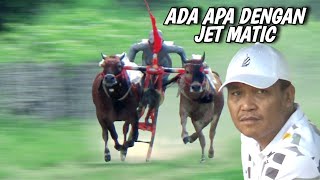 full highlight hasil latihan kerapan sapi jet matic habis lebaran