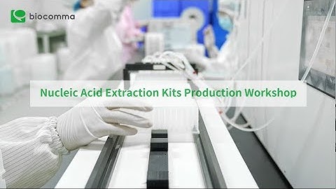 Biocomma Nucleic Acid Extraction / Purification Production Workshop