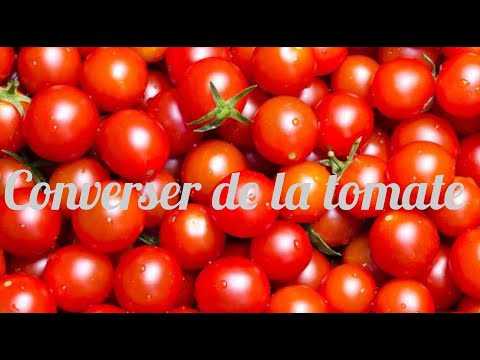 Vidéo: Comment Préparer Des Boutures De Tomates Hybrides Et Les Conserver En Hiver