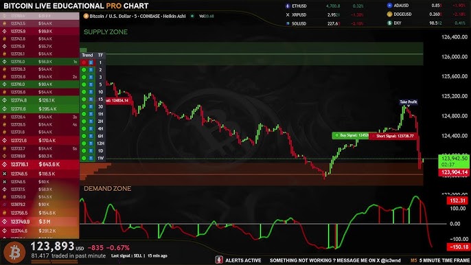⚠️CRIPTOVALUTE: "Bitcoin e Oro: Ristabilita la Correlazione e Prospettive di Crescita"