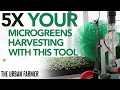 We Just 5X Our Microgreens Harvesting Speed!