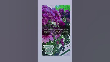 #بسم_الله_الرحمن_الرحيم #اللهم_صل_وسلم_على_نبينا_محمد #سورة_الكهف #جمعه_مباركه #explorepage #ترند