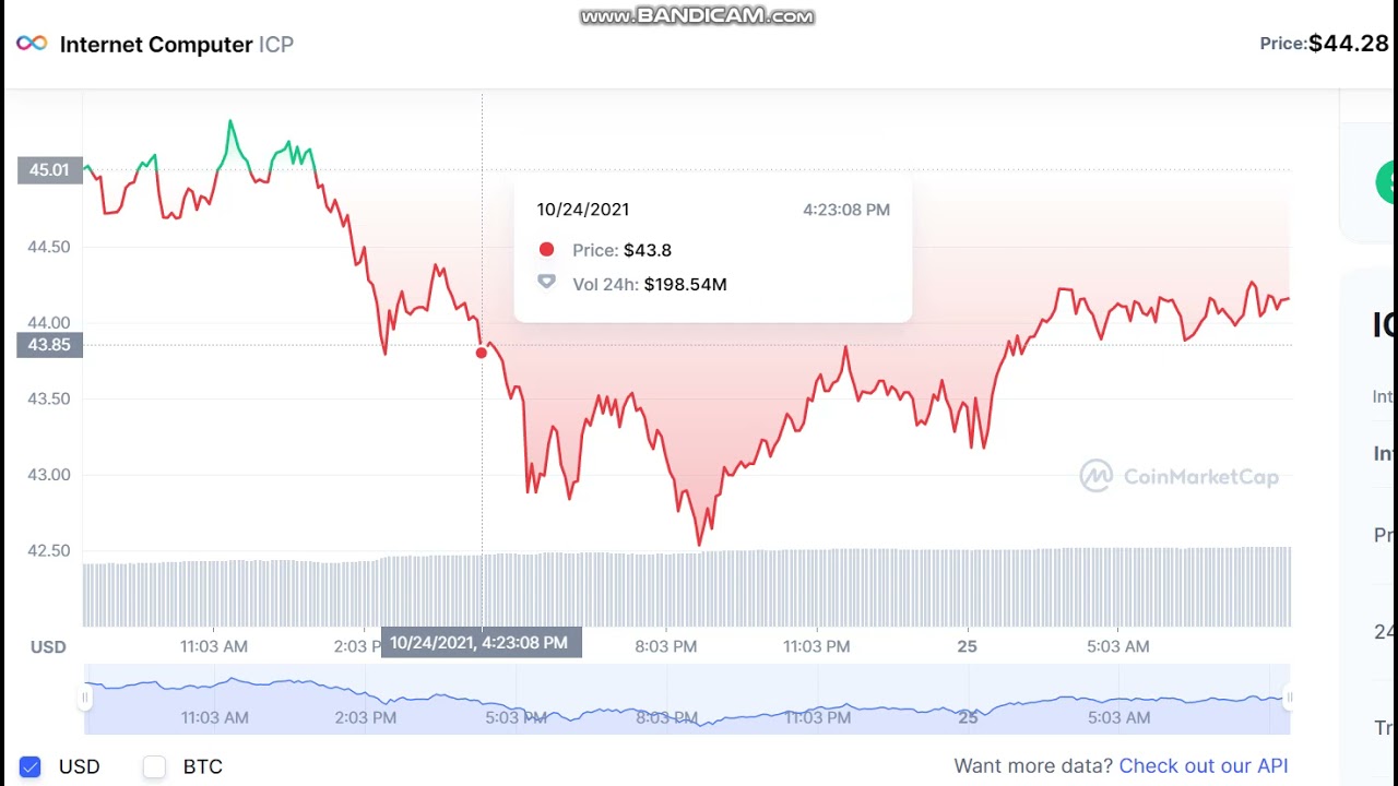 Internet Computer ICP - Internet Computer to USD Chart