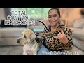 12 Traffic Leash Review