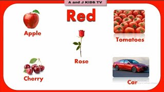 Learn the Basic Colors and Showing Color Items | Colors for kids | A and J Kids TV