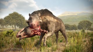 Entelodonts: The 'Hell Pigs'
