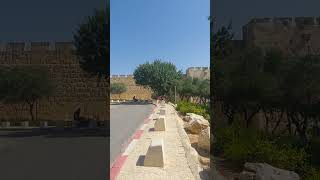 جولة ابواب البلدة القديمة في القدس jerusalem shortsvideo