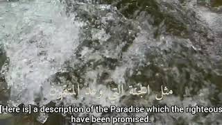 The Rivers in Paradise | Raad Muhammad Al Kurdi | Surah Muhammad: 15