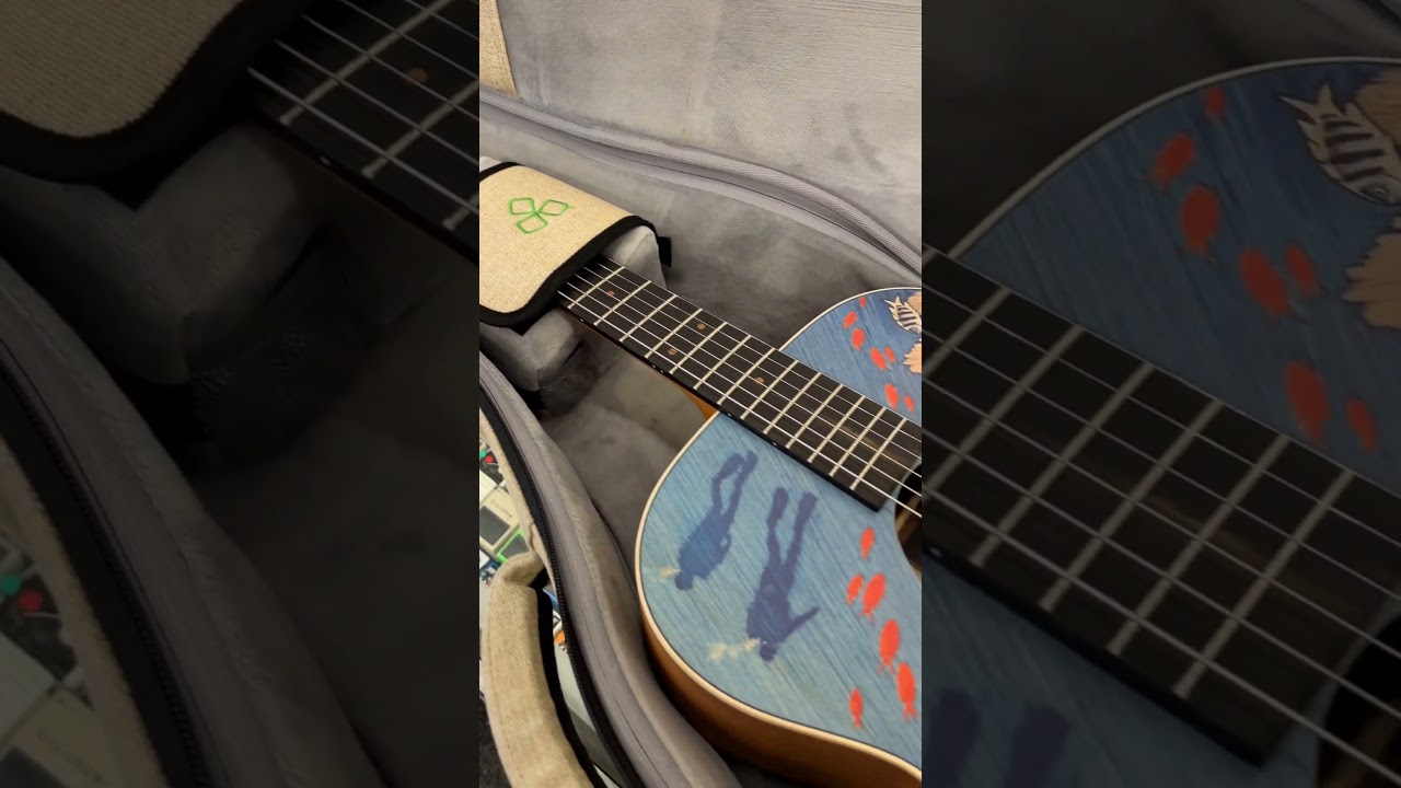 Martin OM Biosphere Acoustic Guitar 