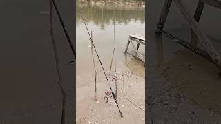 ikan Camp-pret