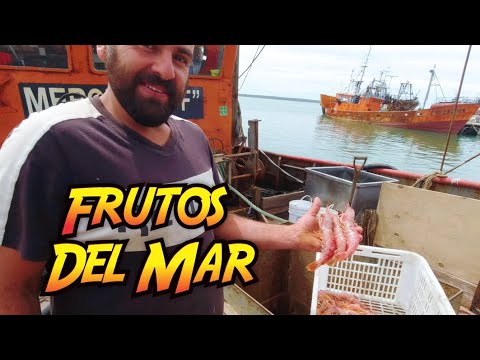 ASI ES UN BARCO PESQUERO POR DENTRO | San Antonio Oeste, Rio Negro (VT#13)