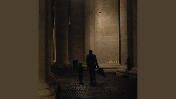 a shadow cast from a tree